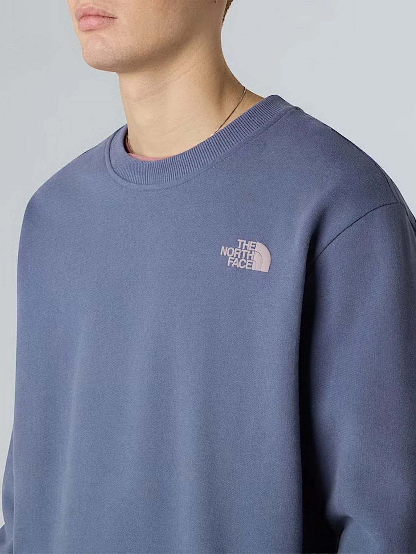 Худи и свитшоты The North Face модель NF0A8EU5BTR1 Худи и свитшоты The North Face модель NF0A8EU5BTR1 Фото