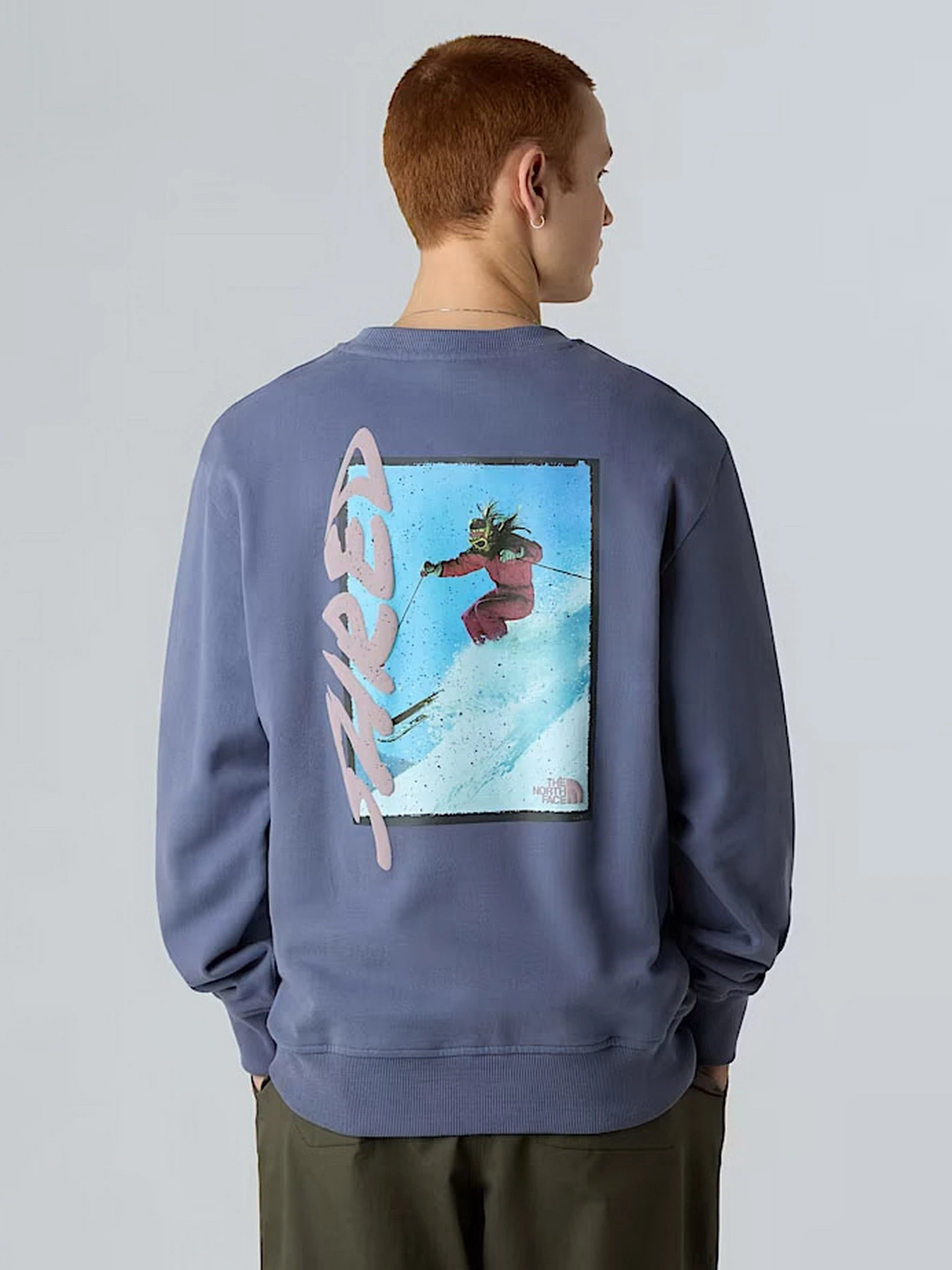 Худи и свитшоты The North Face модель NF0A8EU5BTR1 Худи и свитшоты The North Face модель NF0A8EU5BTR1 Фото