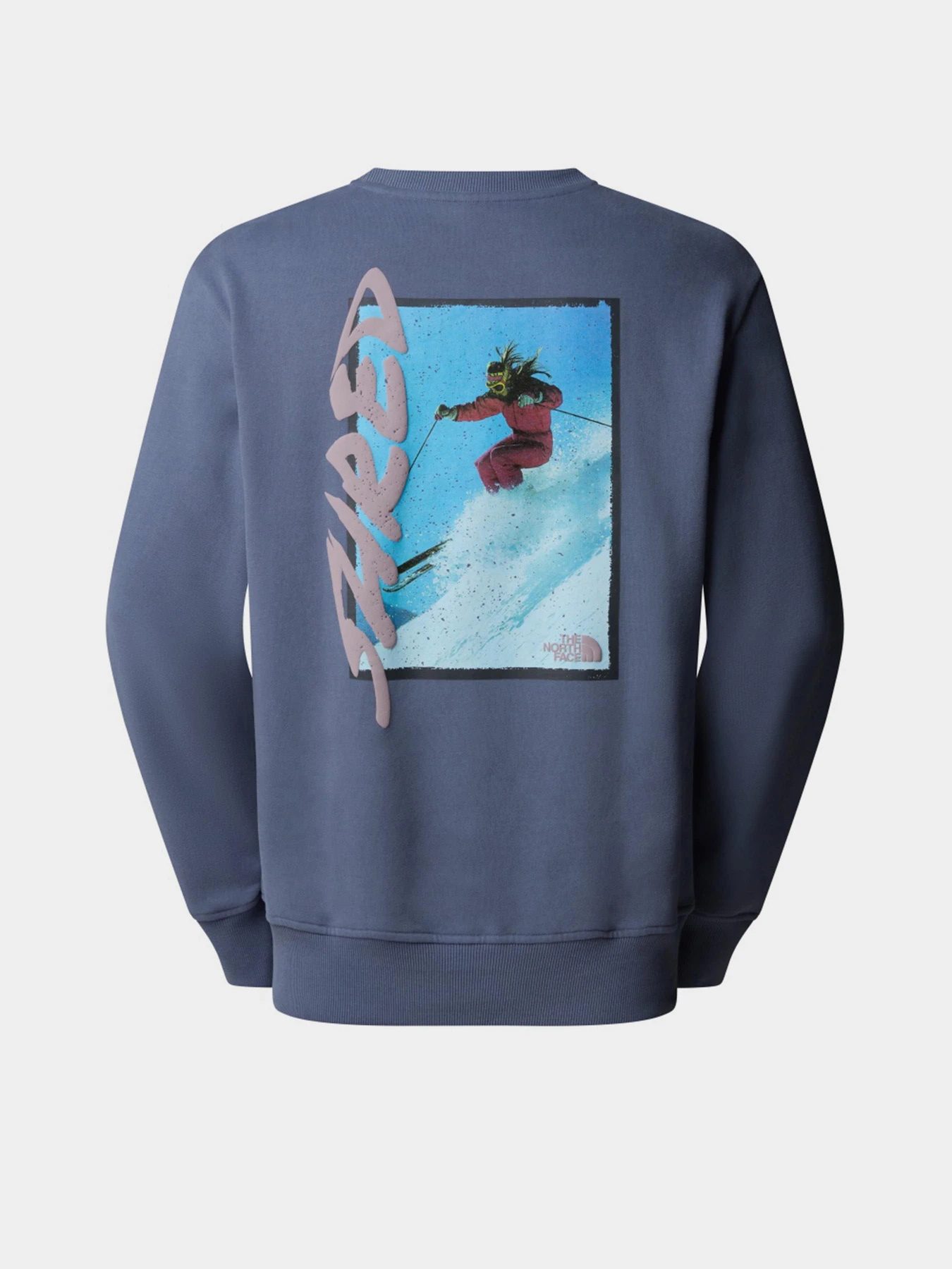 Худи и свитшоты The North Face модель NF0A8EU5BTR1 Худи и свитшоты The North Face модель NF0A8EU5BTR1 Фото