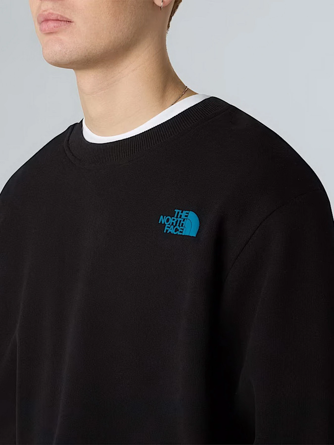 Худи и свитшоты The North Face модель NF0A8EU5JK31 Худи и свитшоты The North Face модель NF0A8EU5JK31 Фото