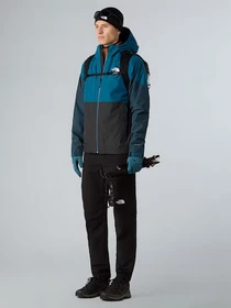 Куртки и дубленки The North Face модель NF0A87GNEIF1 Фото