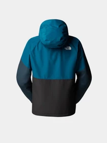 Куртки и дубленки The North Face модель NF0A87GNEIF1 Фото
