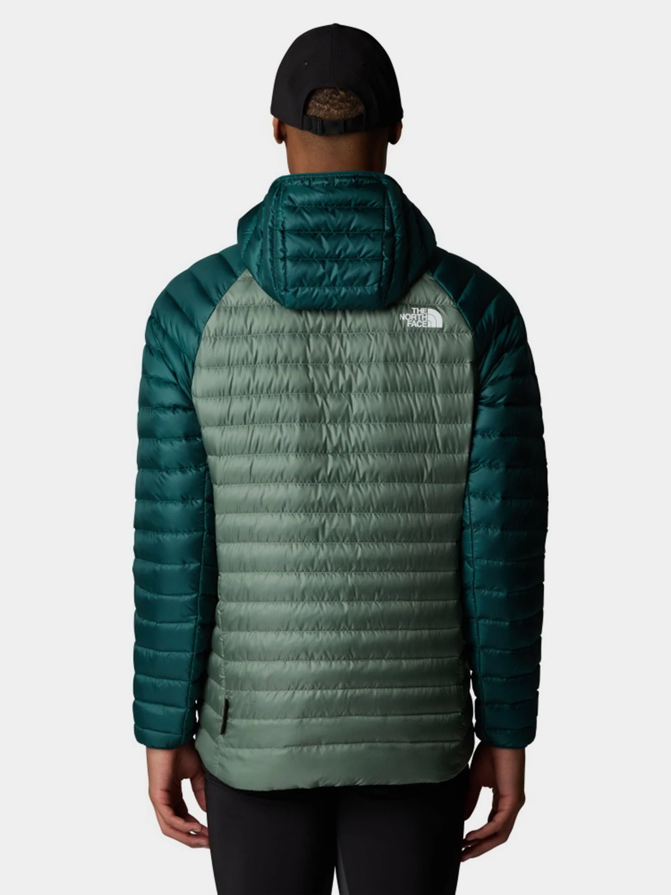 Куртки и дубленки The North Face Bettaforca модель NF0A87GX58S1 Куртки и дубленки The North Face Bettaforca модель NF0A87GX58S1 Фото