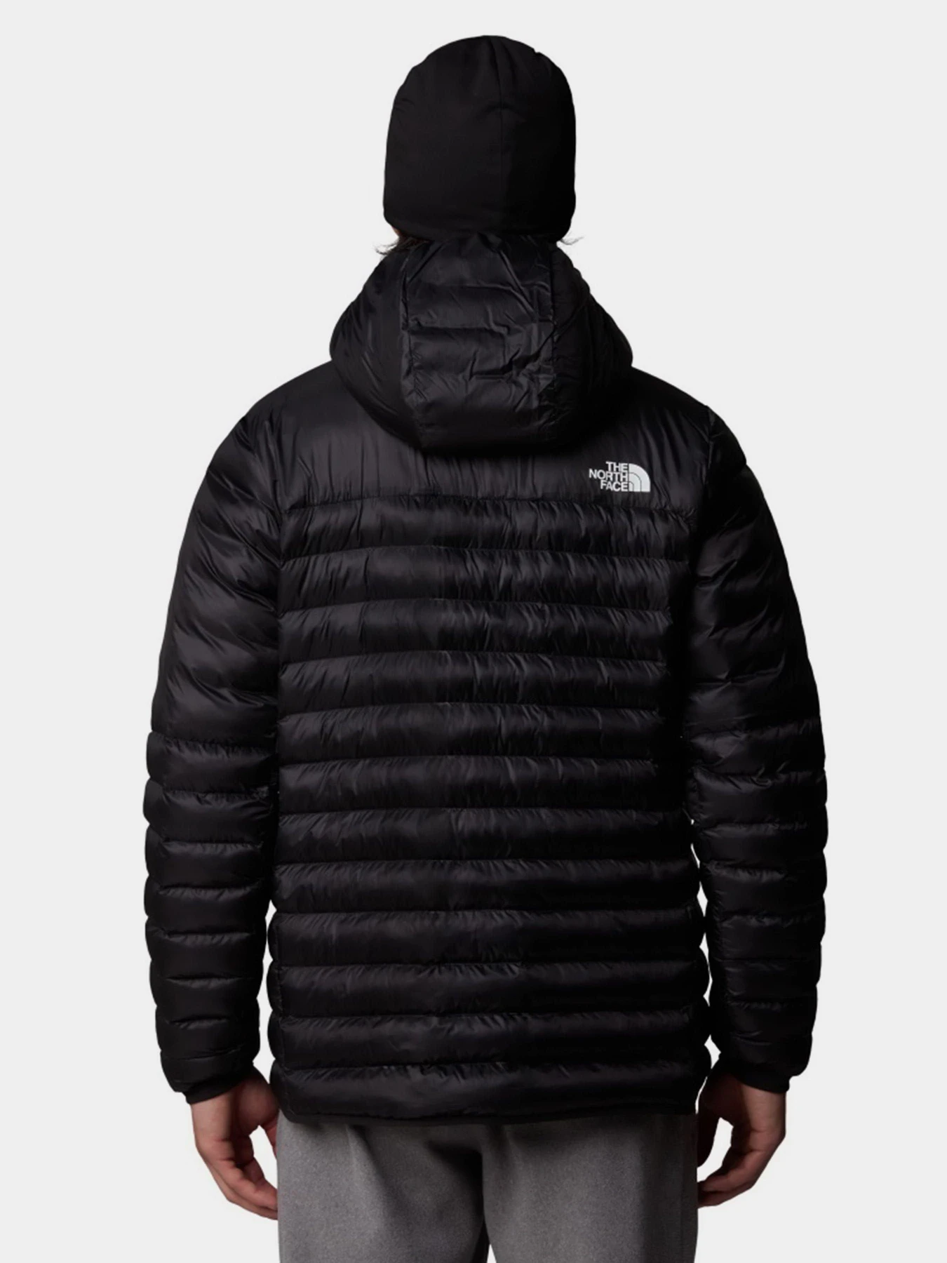 Куртки и дубленки The North Face Terra Peak модель NF0A88TVJK31 Фото