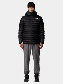 Куртки и дубленки The North Face Terra Peak модель NF0A88TVJK31 Фото