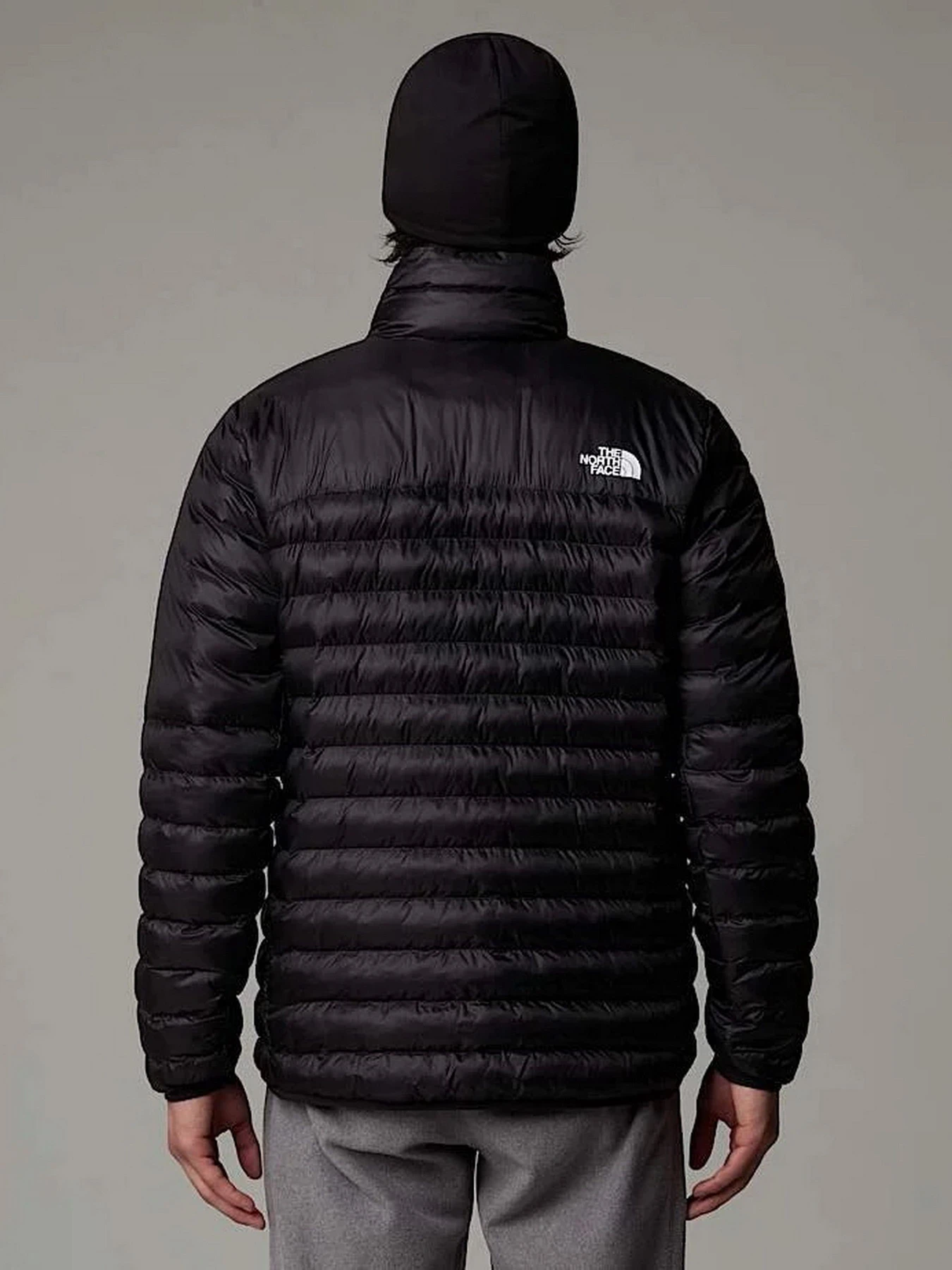 Куртки и дубленки The North Face Terra Peak модель NF0A88U2JK31 Фото