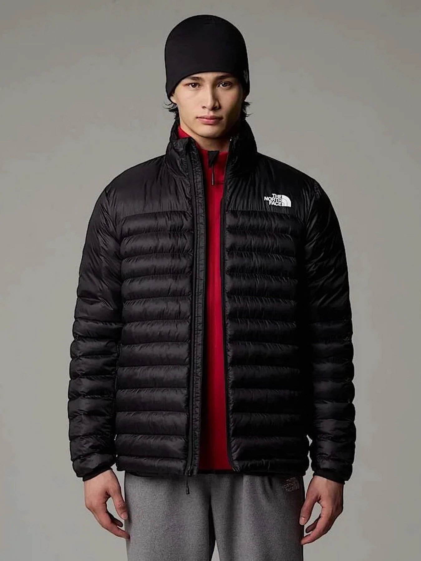 Куртки и дубленки The North Face Terra Peak модель NF0A88U2JK31 Фото