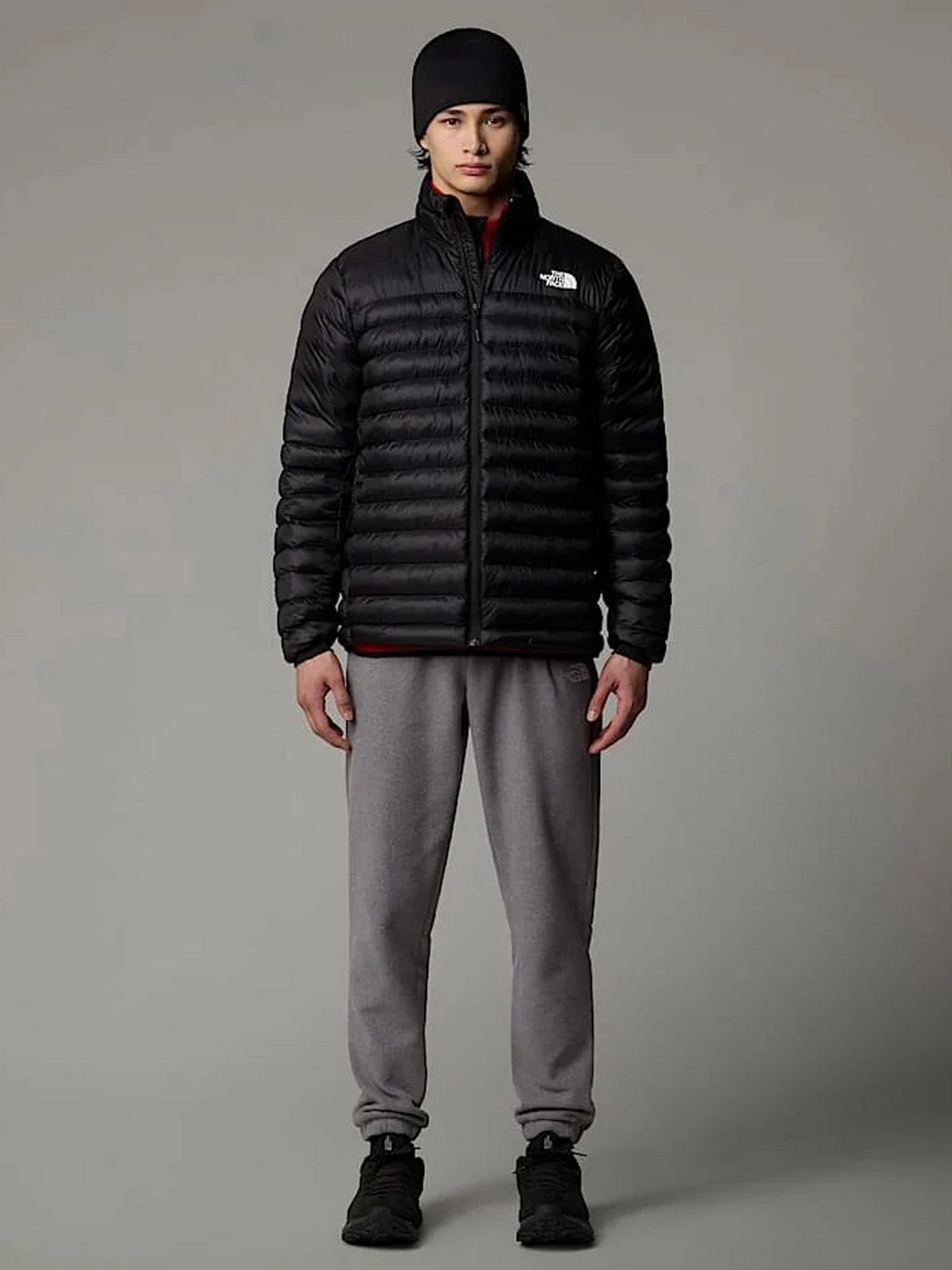 Куртки и дубленки The North Face Terra Peak модель NF0A88U2JK31 Фото