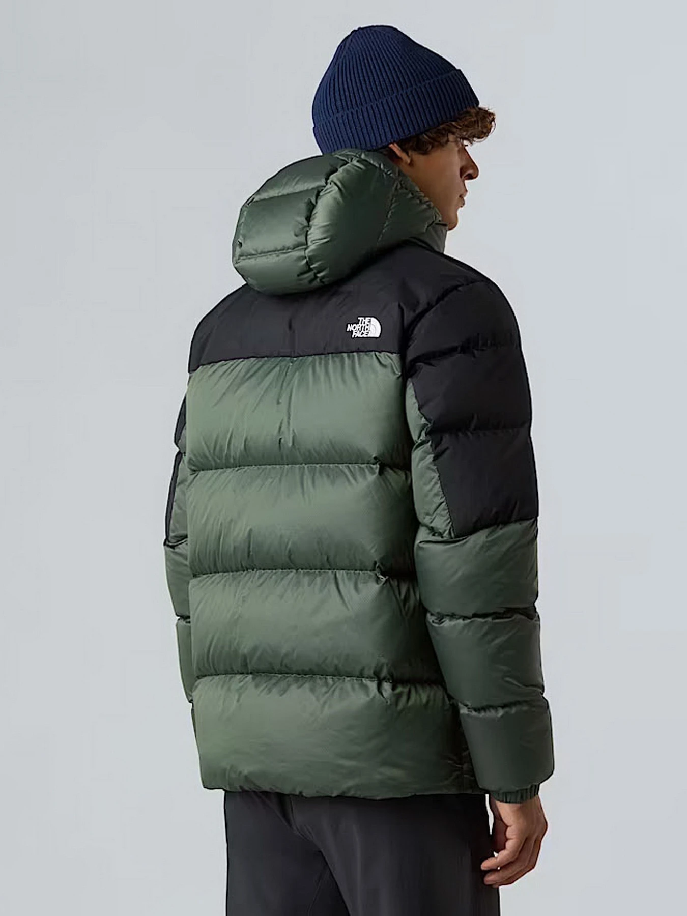 Куртки и дубленки The North Face Diablo Down 2.0 модель NF0A8992EIH1 Фото
