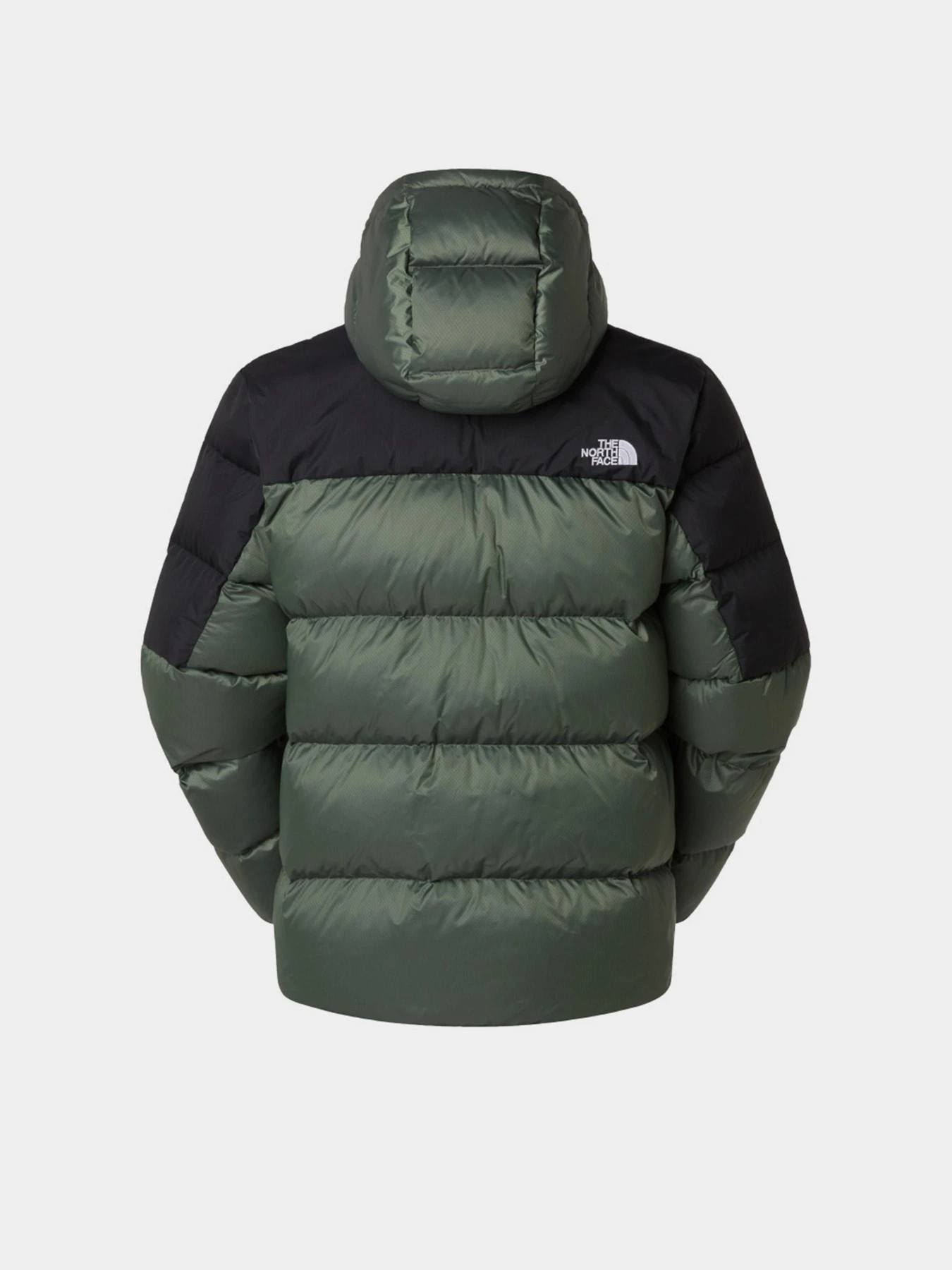Куртки и дубленки The North Face Diablo Down 2.0 модель NF0A8992EIH1 Фото