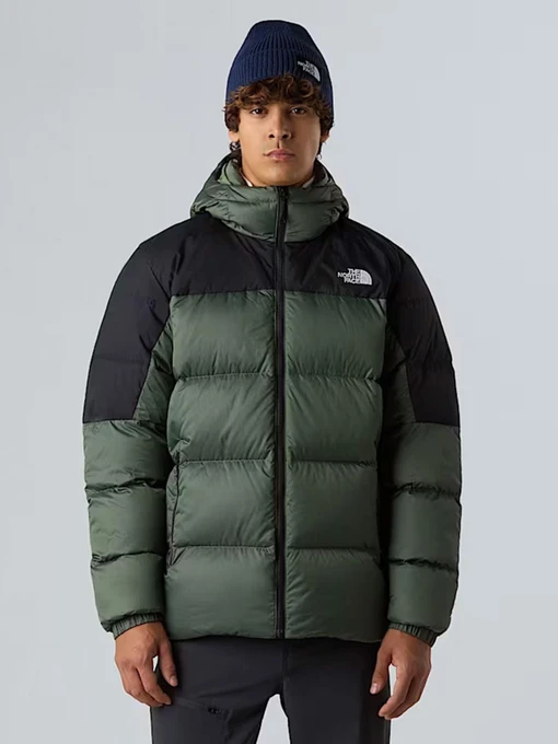Куртки и дубленки The North Face Diablo Down 2.0 модель NF0A8992EIH1 Фото
