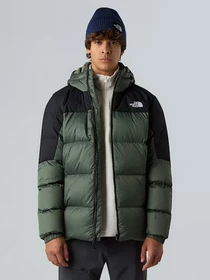 Куртки и дубленки The North Face Diablo Down 2.0 модель NF0A8992EIH1 Фото