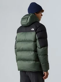 Куртки и дубленки The North Face Diablo Down 2.0 модель NF0A8992EIH1 Фото