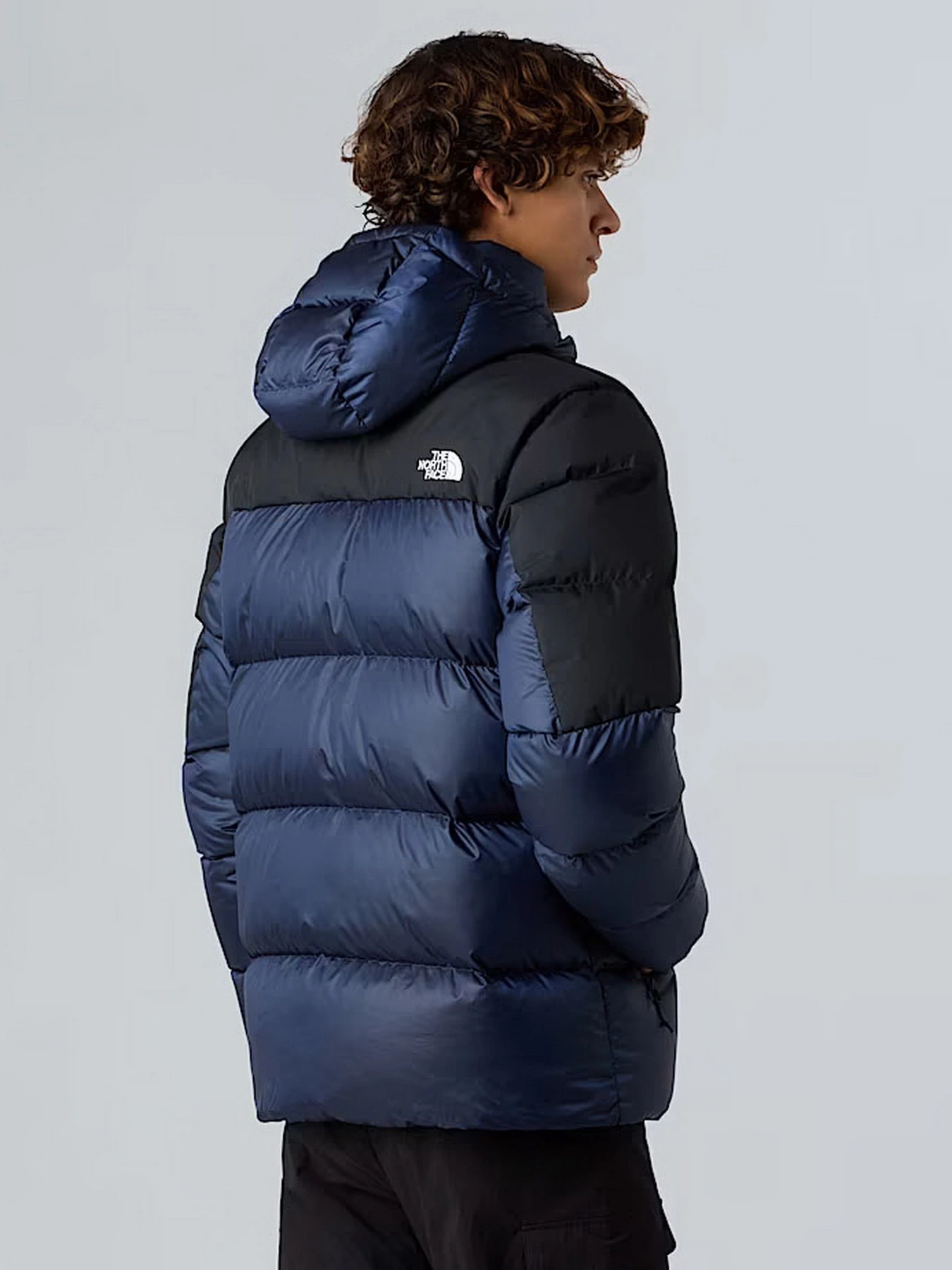 Куртки и дубленки The North Face Diablo Down 2.0 модель NF0A8992GKI1 Фото