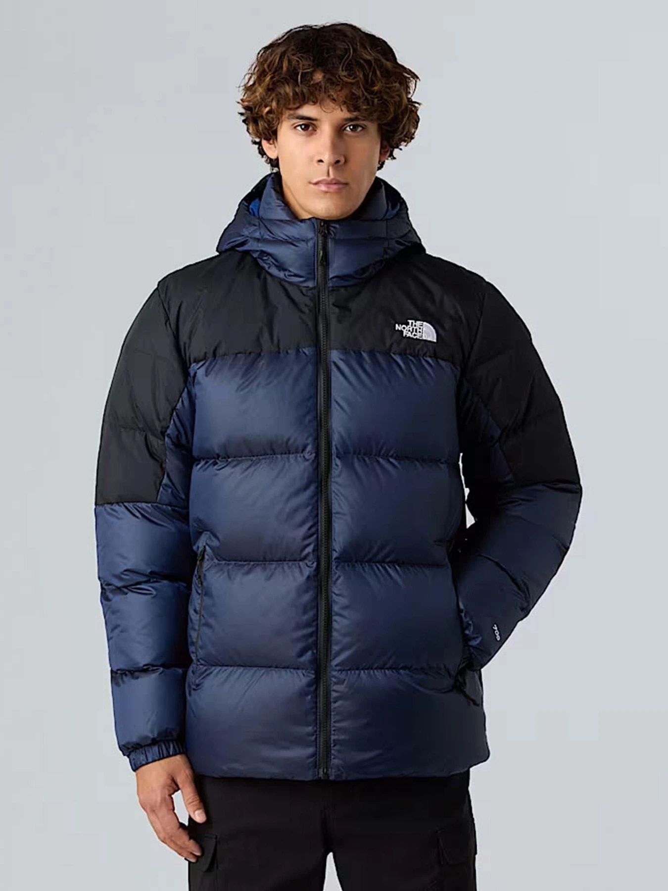 Куртки и дубленки The North Face Diablo Down 2.0 модель NF0A8992GKI1 Фото