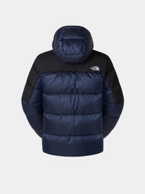 Куртки и дубленки The North Face Diablo Down 2.0 модель NF0A8992GKI1 Фото