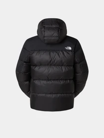 Куртки та дублянки The North Face Diablo Down 2.0 модель NF0A8992GOC1 Фото