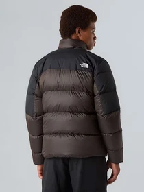 Куртки та дублянки The North Face Diablo Down 2.0 модель NF0A89930BI1 Фото