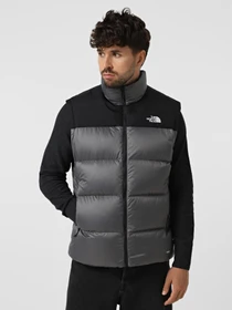 Куртки и дубленки The North Face Diablo Down 2.0 модель NF0A8994EKO1 Фото