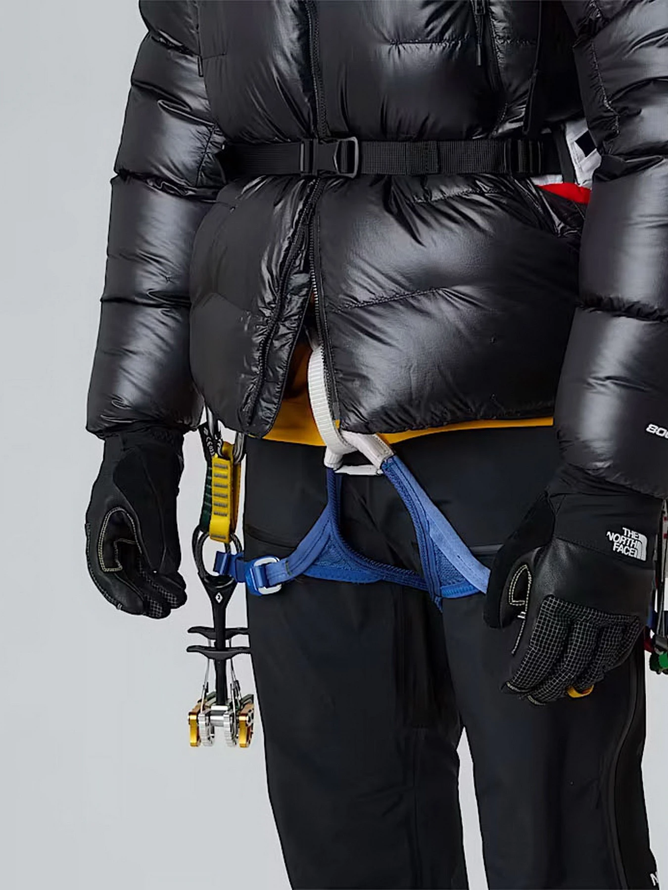 Куртки и дубленки The North Face модель NF0A8C90JK31 Фото