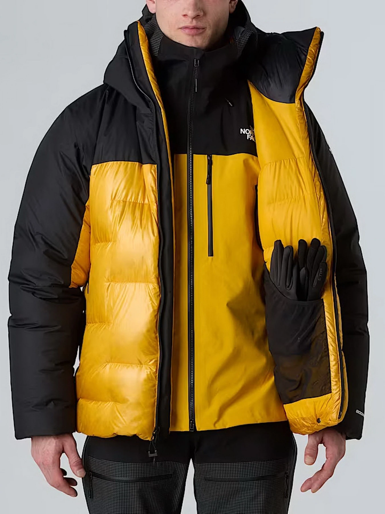 Куртки и дубленки The North Face модель NF0A8C95ZU31 Куртки и дубленки The North Face модель NF0A8C95ZU31 Фото