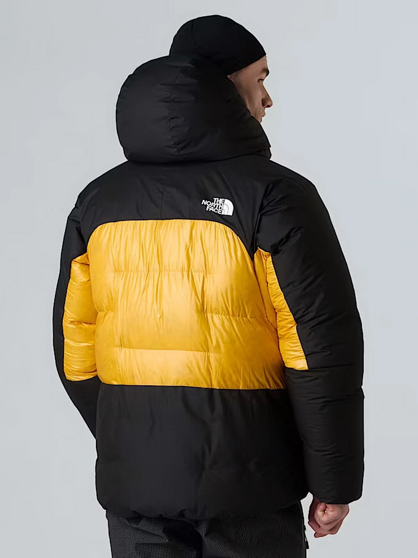 Куртки и дубленки The North Face модель NF0A8C95ZU31 Куртки и дубленки The North Face модель NF0A8C95ZU31 Фото