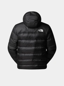 Куртки та дублянки The North Face модель NF0A8D1YJK31 Фото