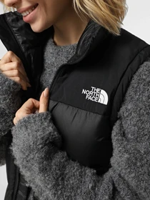 Куртки и дубленки The North Face модель NF0A8E15PH51 Фото