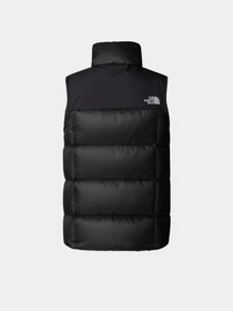Куртки и дубленки The North Face модель NF0A8E15PH51 Фото
