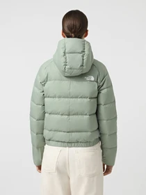 Куртки та дублянки The North Face Hyalite модель NF0A8E75BQ11 Фото