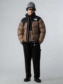 Куртки и дубленки The North Face модель NF0A3C8DDHL1 Фото
