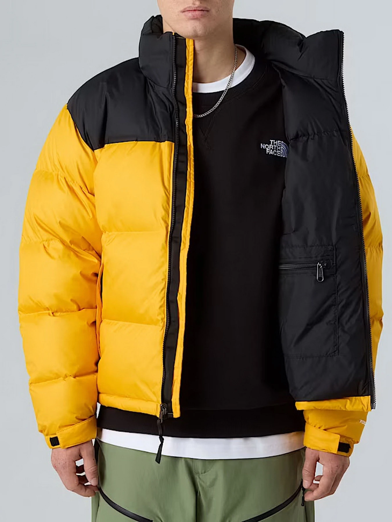 Куртки та дублянки The North Face модель NF0A3C8DGO81 Фото