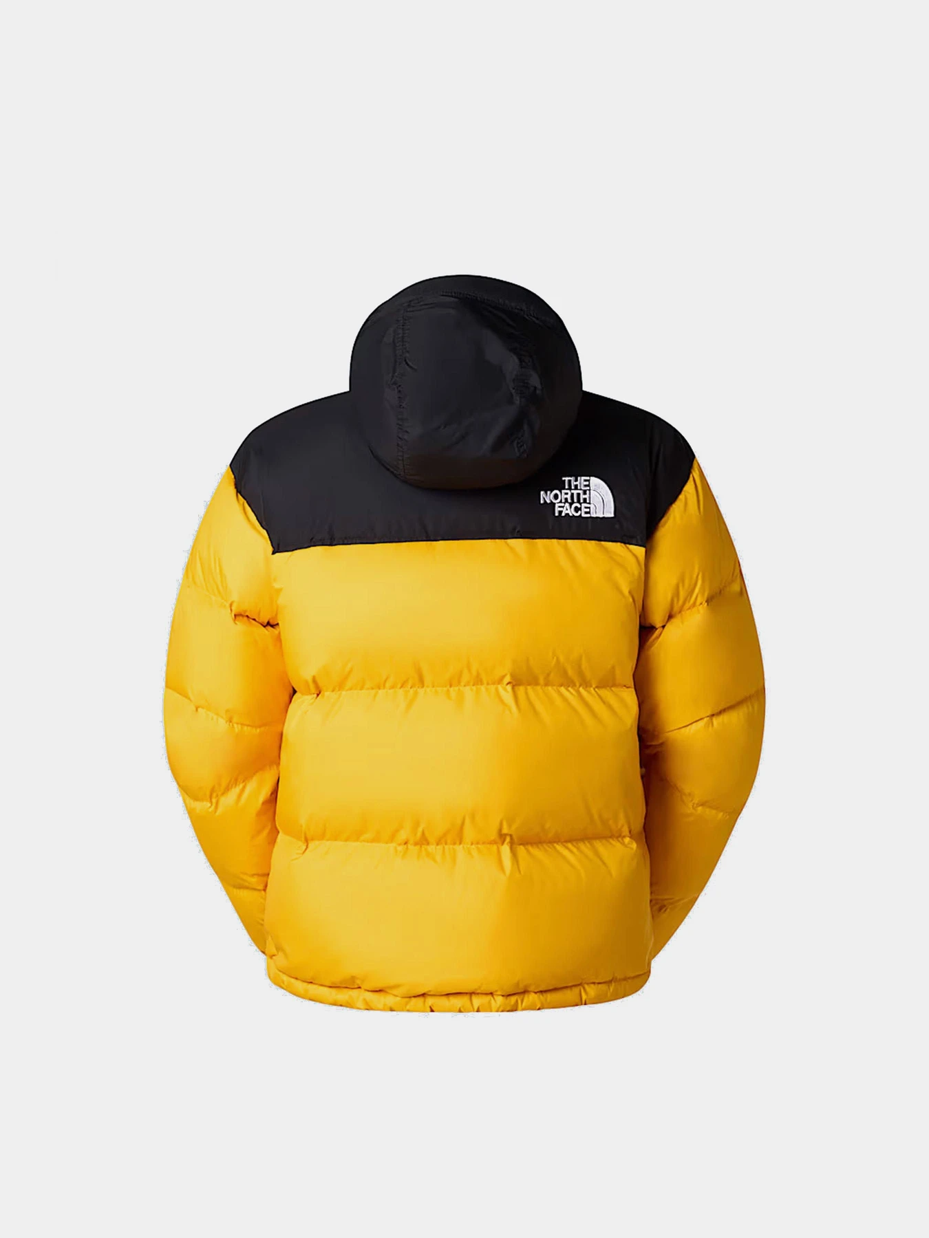 Куртки та дублянки The North Face модель NF0A3C8DGO81 Фото