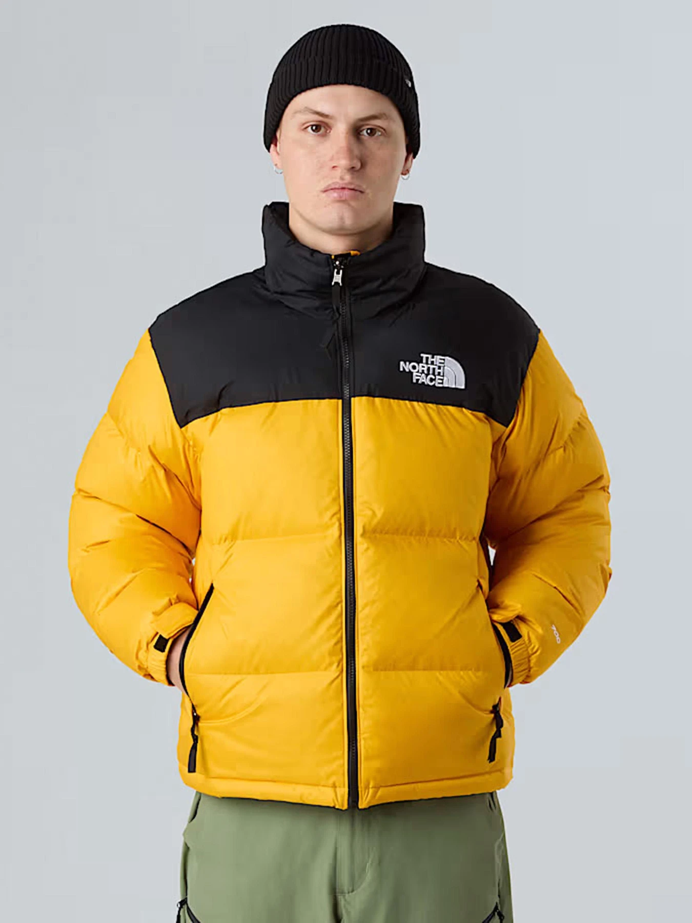 Куртки та дублянки The North Face модель NF0A3C8DGO81 Фото