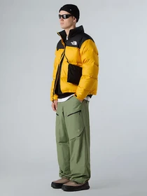 Куртки та дублянки The North Face модель NF0A3C8DGO81 Фото