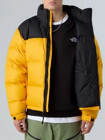 Куртки та дублянки The North Face модель NF0A3C8DGO81 Фото
