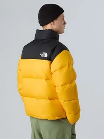 Куртки та дублянки The North Face модель NF0A3C8DGO81 Фото