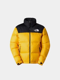Куртки та дублянки The North Face модель NF0A3C8DGO81 Фото
