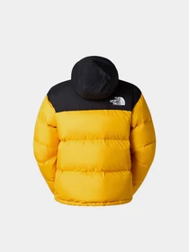 Куртки та дублянки The North Face модель NF0A3C8DGO81 Фото