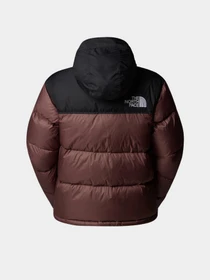 Куртки та дублянки The North Face модель NF0A3XEOCAI1 Фото