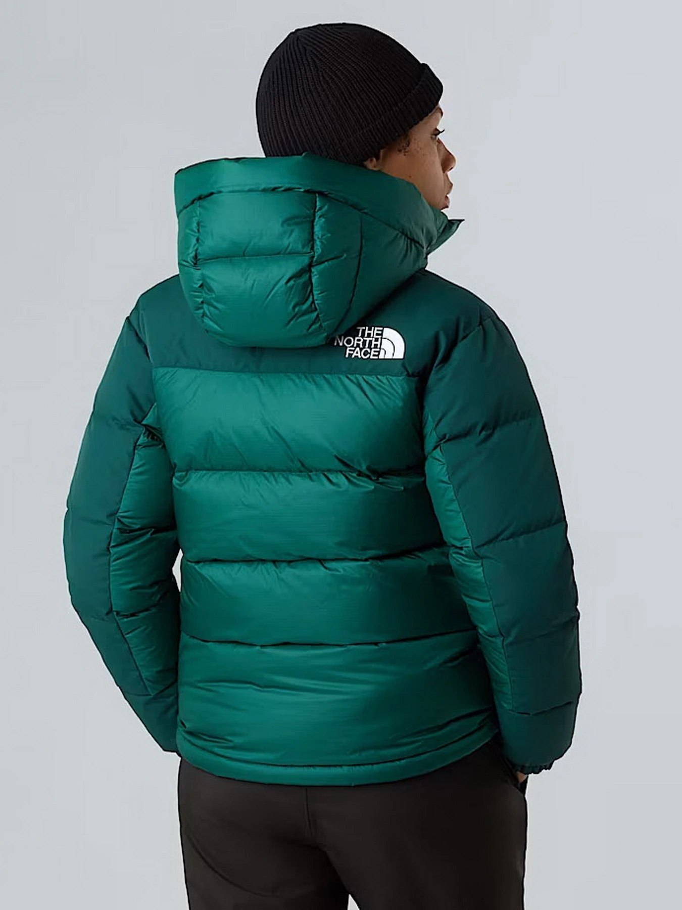 Куртки та дублянки The North Face модель NF0A4R2WGM01 Куртки та дублянки The North Face модель NF0A4R2WGM01 Фото