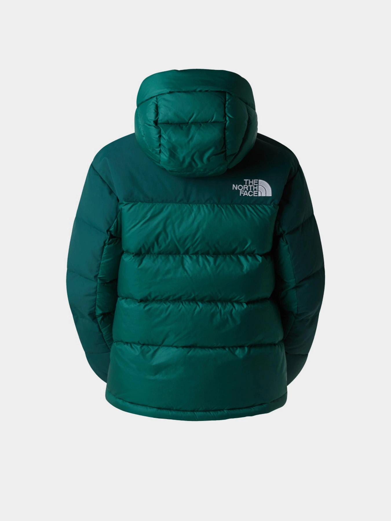 Куртки та дублянки The North Face модель NF0A4R2WGM01 Куртки та дублянки The North Face модель NF0A4R2WGM01 Фото