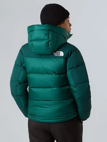Куртки та дублянки The North Face модель NF0A4R2WGM01 Фото