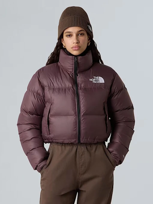 Куртки та дублянки The North Face модель NF0A5GGEBQ71 Фото