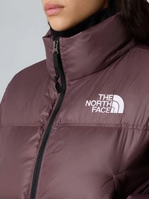 Куртки та дублянки The North Face модель NF0A5GGEBQ71 Фото