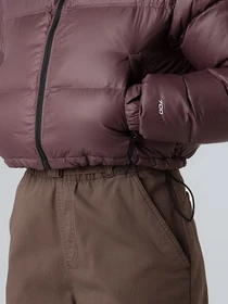 Куртки та дублянки The North Face модель NF0A5GGEBQ71 Фото
