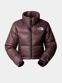 Куртки та дублянки The North Face модель NF0A5GGEBQ71 Фото