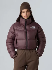 Куртки та дублянки The North Face модель NF0A5GGEBQ71 Фото