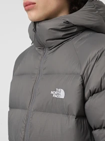 Куртки та дублянки The North Face модель NF0A5GIE0UZ1 Фото