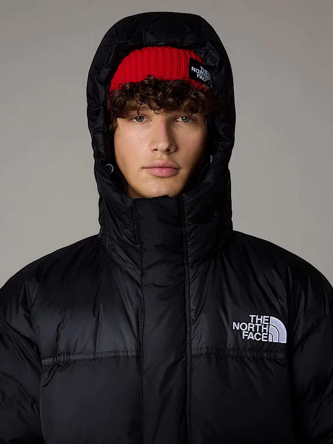 Куртки та дублянки The North Face модель NF0A832JGOE1 Фото